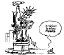 liberty